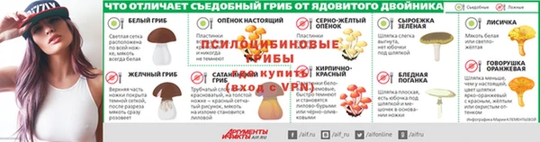 кокаин Белокуриха