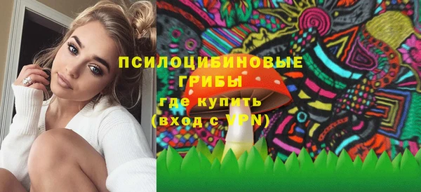 бутират Богородицк