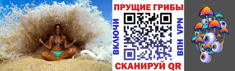 мориарти Telegram  блэк спрут ссылки  Богданович  Галлюциногенные грибы Magic Shrooms 